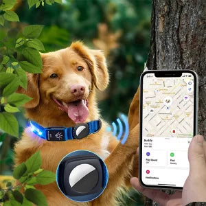 Coleira LED Impermeável para Cão com Suporte para Rastreador