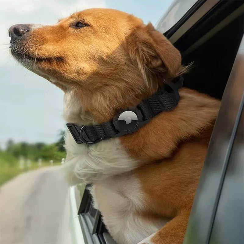 Coleira Tática para Cão com Suporte para AirTag e Alça