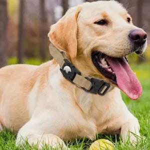 Coleira Tática para Cão com Suporte para AirTag e Alça