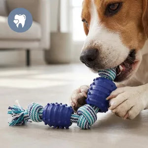 Brinquedo de cabo‑de‑guerra resistente para cães em fase de dentição