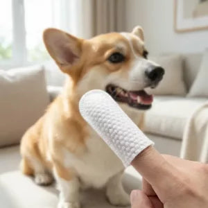 50un Toalhitas Dentárias de Dedo para Cão Almofadas de Limpeza de Orelhas para Animais