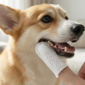50un Toalhitas Dentárias de Dedo para Cão Almofadas de Limpeza de Orelhas para Animais
