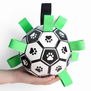 Brinquedo de Futebol para Cão com Abas para Pegar