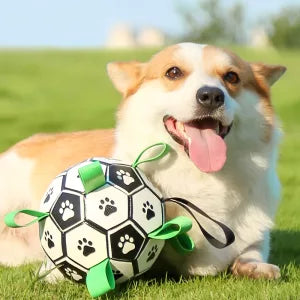 Brinquedo de Futebol para Cão com Abas para Pegar