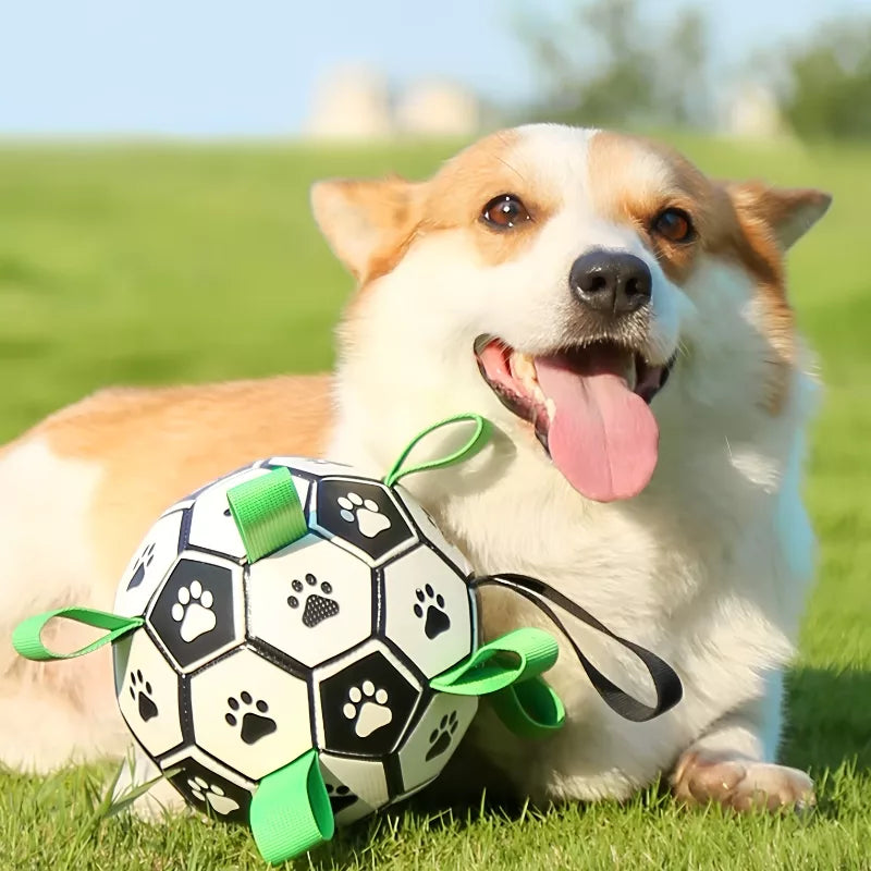 Brinquedo de Futebol para Cão com Abas para Pegar