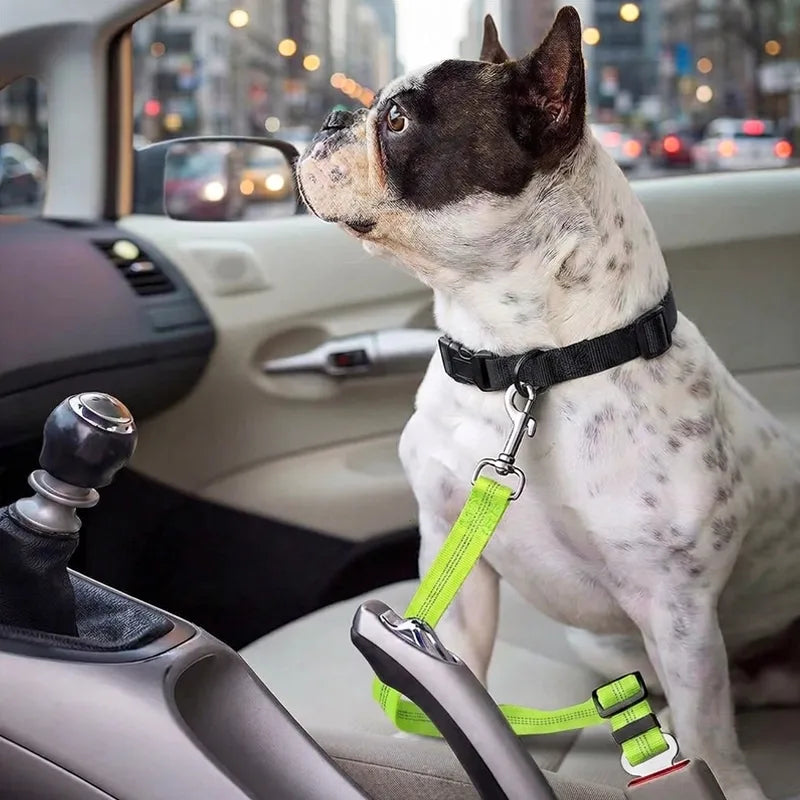 Cinto de segurança ajustável em nylon para cães no automóvel
