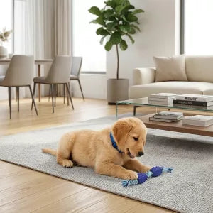Brinquedo de cabo‑de‑guerra resistente para cães em fase de dentição