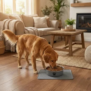 Comedouro de Aço Inox para Cães com Base de Silicone Antiderrapante