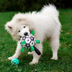 Brinquedo de Futebol para Cão com Abas para Pegar