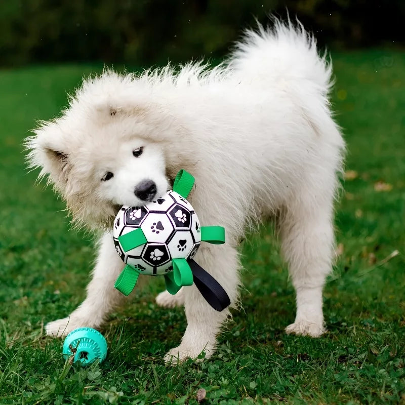 Brinquedo de Futebol para Cão com Abas para Pegar