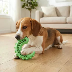 Brinquedo de Mastigar Resistente para Dentição de Cachorros