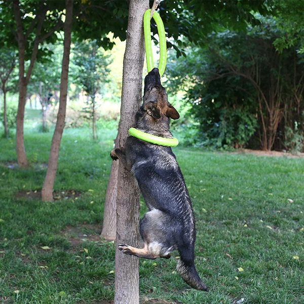 Brinquedo de Mastigar para Cães Anel de Borracha para Treino