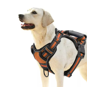 Peitoral Refletor Anti-Puxão para Cães com Alça