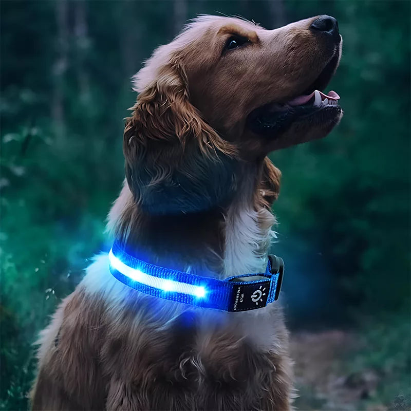 Coleira LED Impermeável para Cão com Suporte para Rastreador