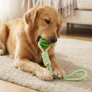 Brinquedo de Cabo de Guerra com Bola para Cães