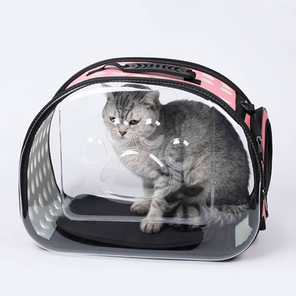 Bolsa transportadora transparente LEO