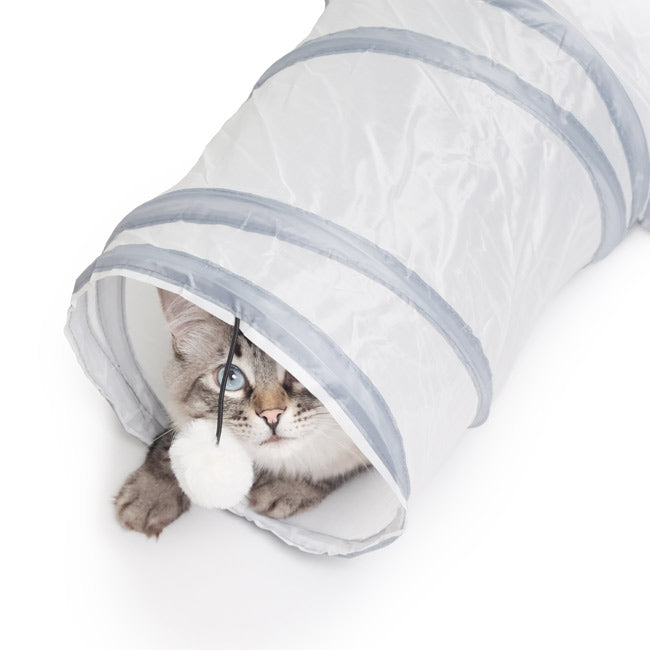 Túnel PURRWAY