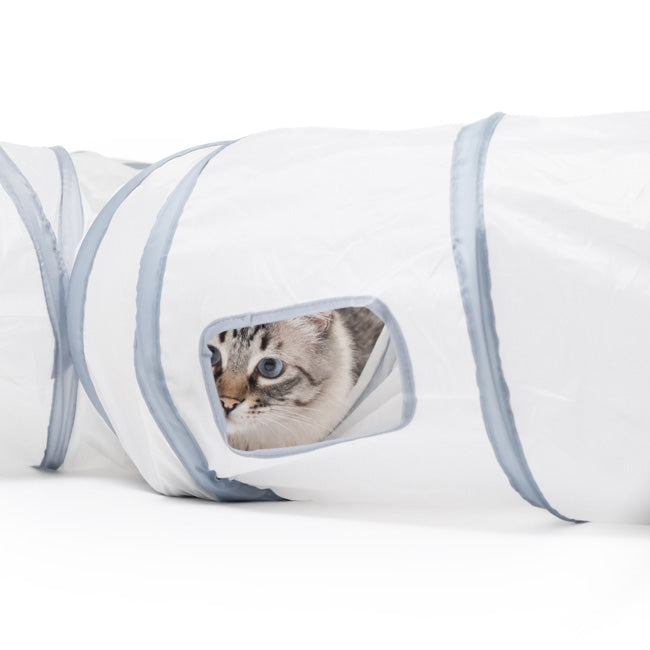Túnel PURRWAY