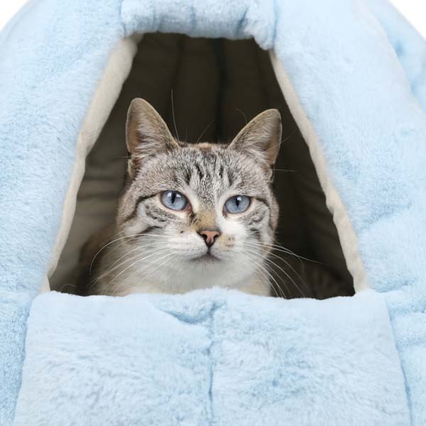 Igloo quentinho WONDER
