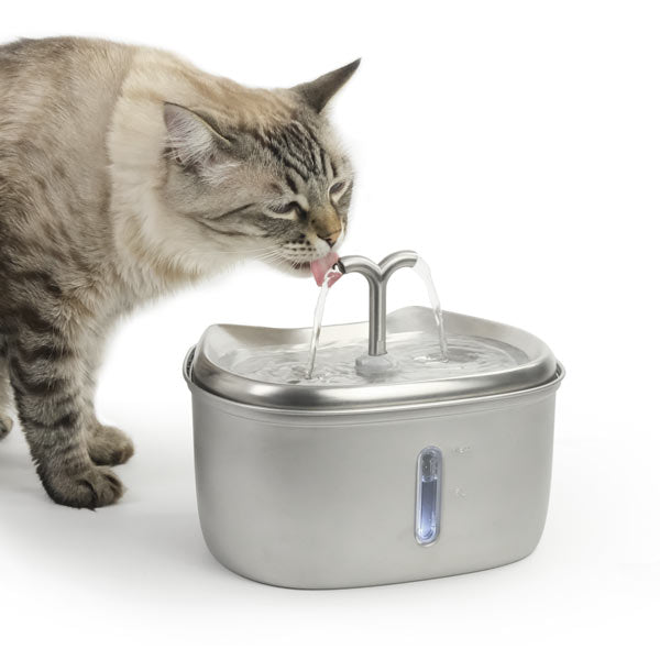 Fonte de água KITTO em aço inoxidável 2,5 L